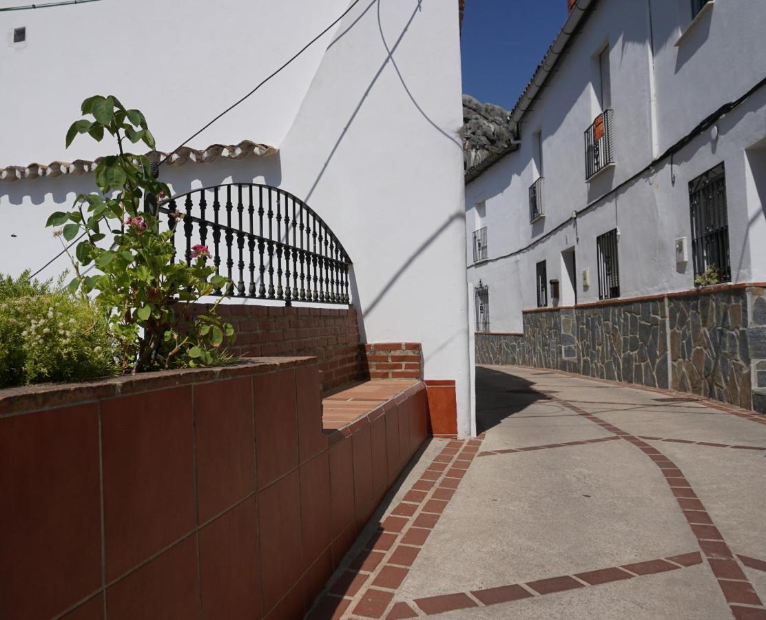 Trigos, * Montejaque